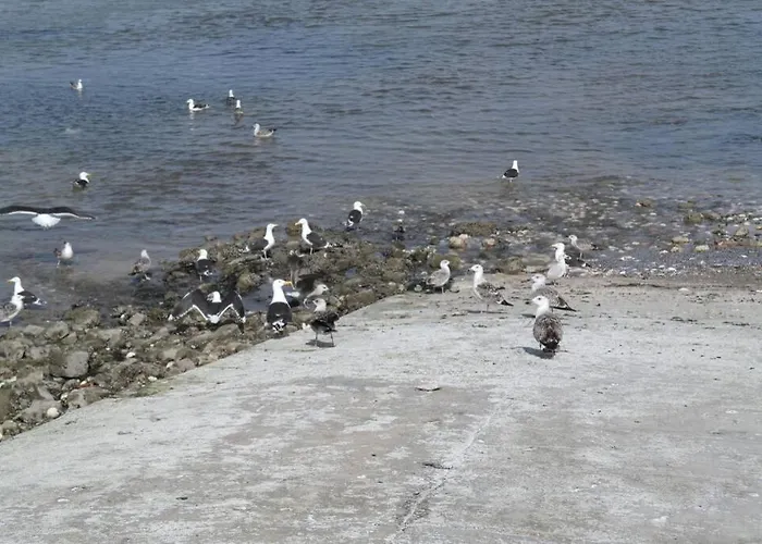 דירה Mon D'attache *